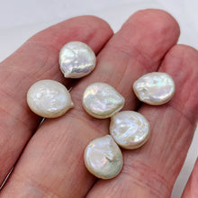 Load image into Gallery viewer, Top-Drilled Freshwater Coin Briolette Pearls |13x11x6 - 11x10.5x4mm| 6 Pearls |