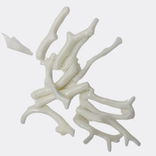 Load image into Gallery viewer, Coral Branch Beads | 31x3 to 27x2mm | White | 14 Beads |