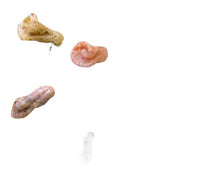 Load image into Gallery viewer, 3 Speckled Peach Chalcedony Rose Bud Beads 009219