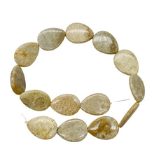 Load image into Gallery viewer, Fossilized Coral Flat Pear Pendant Bead Strand 107084