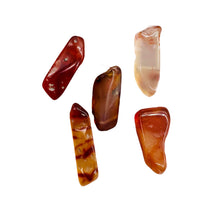 Load image into Gallery viewer, Designer 6 Wild Natural Carnelian Drop 20x6x5mm to 32x11x6mm Beads 8972