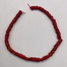 Load image into Gallery viewer, Natural AAA Red Coral Branch Bead Strand | 4x6mm | 44 Beads |