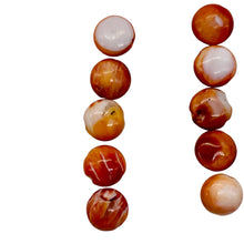 Load image into Gallery viewer, Spiny Oyster Flat Round Half Strand Beads | 8x4mm | Orange White | 25 Beads |