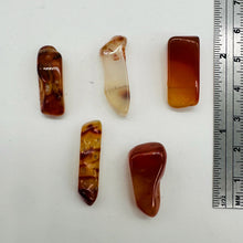 Load image into Gallery viewer, Designer 6 Wild Natural Carnelian Drop 20x6x5mm to 32x11x6mm Beads 8972