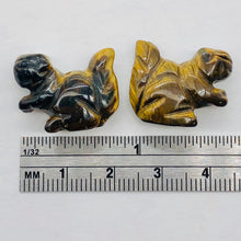 Load image into Gallery viewer, Nuts 2 Hand Carved Animal Tigereye Squirrel Beads | 22x15x10mm | Golden Brown