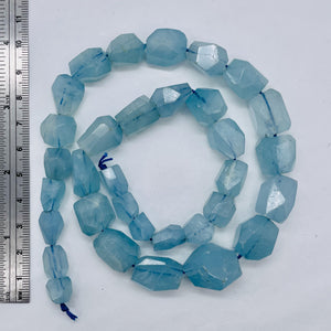 Aquamarine Graduated 19" Strand | 12x8 to 20x12mm | Blue | 32 to 36 Beads |