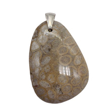 Load image into Gallery viewer, Coral Fossilized with Tiny Critters Sterling Silver Pendant | 2 1/4" Long |