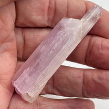 Load image into Gallery viewer, Kunzite 45 Gram Complete Natural Crystal| 71x19x18 | Lavender| Display Specimen|