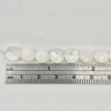 Load image into Gallery viewer, Mississippi White Ebony Shell 7 Coin 8x4mm Beads