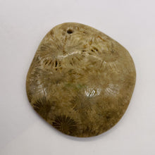 Load image into Gallery viewer, Coral Fossilized with Tiny Critters Pendant Bead | 46x43x8mm | 1 Bead |