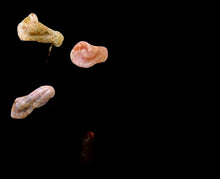 Load image into Gallery viewer, 3 Speckled Peach Chalcedony Rose Bud Beads 009219