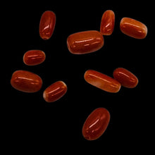 Load image into Gallery viewer, Coral Oval Graduated Beads Parcel | 20 Beads | 8x4 to 6x3mm | Red |