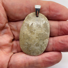 Load image into Gallery viewer, Coral Fossilized with Tiny Critters Sterling Silver Pendant | 2 1/4" Long |