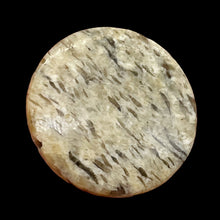 Load image into Gallery viewer, Big Cat Natural Untreated Feldspar 35mm Coin Pendant Bead | 35x5.5mm | 1 Bead |