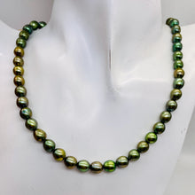 Load image into Gallery viewer, Fresh Water Pearls 16&quot; Strand | Oval | 8x7mm | Rainbow Evergreen | 50 Pearls |
