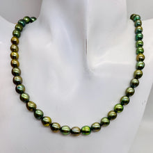 Load image into Gallery viewer, Fresh Water Pearls 16" Strand | Oval | 8x7mm | Rainbow Evergreen | 50 Pearls |
