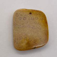 Load image into Gallery viewer, Coral Fossilized with Tiny Critters Pendant Bead | 45x38x8mm | 1 Bead |
