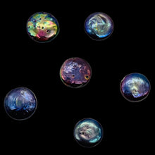 Load image into Gallery viewer, Ebony Rainbow Coin Pearls | 10-12mm | Lavender Blue Pink | 6 Pearls |