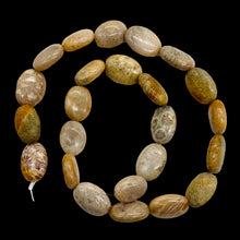 Load image into Gallery viewer, 3 Fossilized Coral Focal Oval Beads 8970