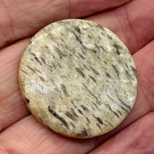 Load image into Gallery viewer, Big Cat Natural Untreated Feldspar 35mm Coin Pendant Bead | 35x5.5mm | 1 Bead |