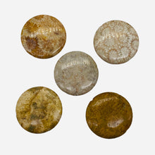 Load image into Gallery viewer, 1 Fossilized Coral 35mm Coin Pendant Bead 9156