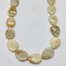Load image into Gallery viewer, Fossilized Coral Flat Pear Pendant Bead Strand 107084