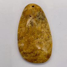 Load image into Gallery viewer, Fossilized Coral Teardrop Pendant Bead | 53x29x7mm | Orange Beige |