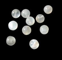 Load image into Gallery viewer, 10 White Moonstone 6mm Round Beads 5029