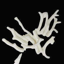 Load image into Gallery viewer, Coral Branch Beads | 31x3 to 27x2mm | White | 14 Beads |