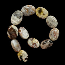 Load image into Gallery viewer, Wild Crazy Lace Agate Bead Focal 8 inch Strand 104581HS