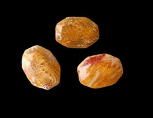 Load image into Gallery viewer, Exotic 3 Fossilized Coral Cameo Cut Pendant Beads 7384B