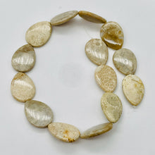 Load image into Gallery viewer, Fossilized Coral Flat Pear Pendant Bead Strand 107084