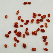 Load image into Gallery viewer, Coral Oval Graduated Beads Parcel | 20 Beads | 8x4 to 6x3mm | Red |