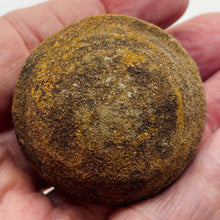 Load image into Gallery viewer, Moqui Marble Shaman Stone 83g Display Specimen | 42x35mm | Brown | 1 Specimen |