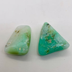 Designer Natural Chrysoprase Beads | 96cts | 33x30x9 to 30x20x8mm | 2 Beads |