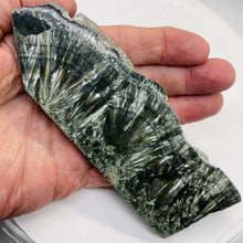 Load image into Gallery viewer, Seraphanite Incredible Large Freeform Mineral Specimen| 6x2x1/2"| Green, Silver|