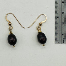 Load image into Gallery viewer, Black Cherry Freshwater Pearl 14kgf Earrings | 1" Long | 12x8mm Pearls | 1 Pair|