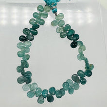 Load image into Gallery viewer, Grandidierite AAA Graduated Briolette Strand| 8" Long| Aqua, Blue| 50 to 60 Bds|