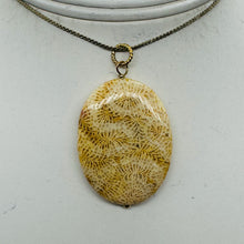 Load image into Gallery viewer, Tan White Fossilized Coral Flat Oval Pendant 40x30x5.5mm Natural Stone