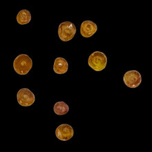 Load image into Gallery viewer, Sapphire AAA Faceted Round Bead Parcel | 3x2 to 2x1mm | Pink | 10 Beads |