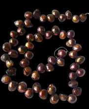 Load image into Gallery viewer, Hot Cocoa Chocolate Pearl Blister Strand 108896