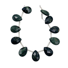 Load image into Gallery viewer, Kambaba Jasper Faceted Briolette Bead 8 inch Strand 7304HS