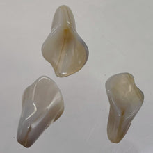 Load image into Gallery viewer, Chalcedony Calla Lily Flower Beads | 22x11x2.5mm to 27x11x2mm | White | 3 Beads|