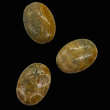 Load image into Gallery viewer, 3 Fossilized Coral Focal Oval Beads 8970