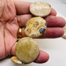 Load image into Gallery viewer, 1 Fossilized Coral 35mm Coin Pendant Bead 9156