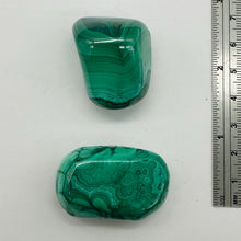 Load image into Gallery viewer, Malachite Polished Gemstone Nugget | 37x25 to 25x17mm|Green| 2 Display Specimen|