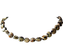 Load image into Gallery viewer, Rare Dalmatian Jasper Coin Bead 8 inch Strand 008459C