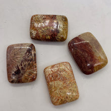 Load image into Gallery viewer, Fossilized Coral Rectangle Pendant Beads | 24x17x7mm | Red, Brown | 4 Beads |