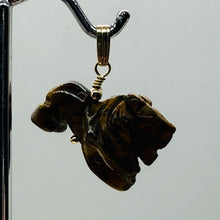 Load image into Gallery viewer, Lion Tiger's Eye Pendant Necklace | Semi Precious Stone Jewelry | 14k gf Pendant