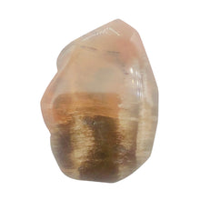 Load image into Gallery viewer, Fossilized Wood Irregular Flat Briolette| 47x40x7mm|Orange/Black| 1 Pendant Bead